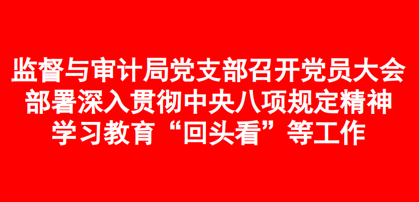 监督与审计局党支部召开党员大会  部署深入贯彻中央八项规定精神学习教育“回头看”等工作